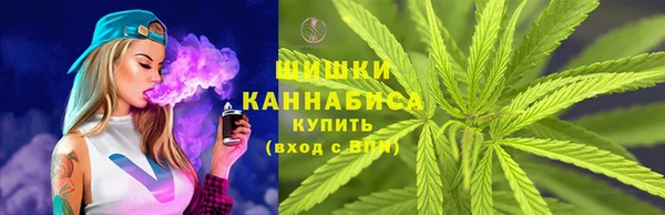 ешки Бронницы