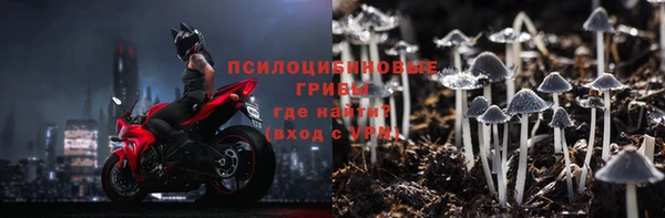 ешки Бронницы