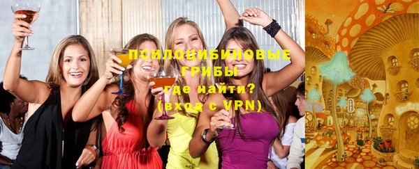 ешки Бронницы