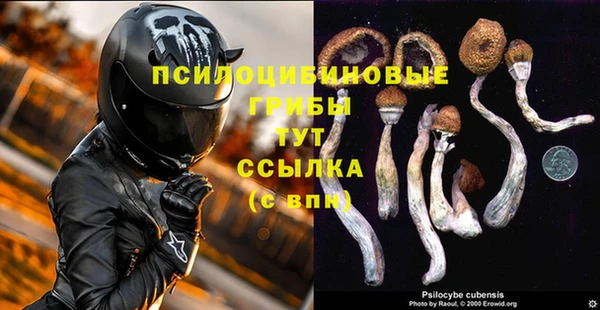 дмт Бугульма