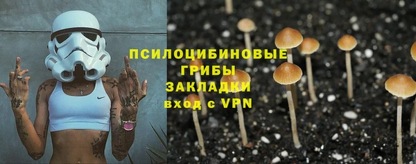 дмт Бугульма