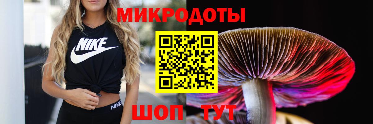 Буйнакск  Галлюциногенные грибы ЛСД  Галлюциногенные грибы MAGIC MUSHROOMS  Вход с VPN 