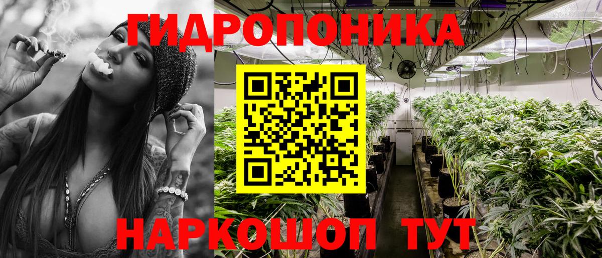 Буйнакск  Бошки марихуана марихуана  Бошки Шишки конопля  Каннабис план  Вход с VPN  Марихуана семена 
